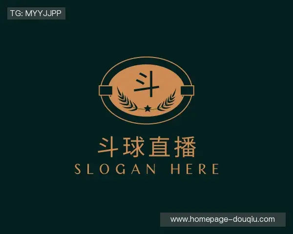 介绍斗球体育直播