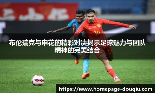 布伦瑞克与申花的精彩对决揭示足球魅力与团队精神的完美结合